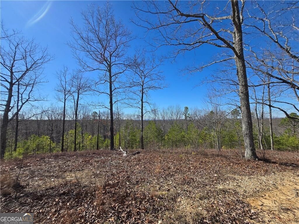 0 Brushy Mountain Road Property Photo 8