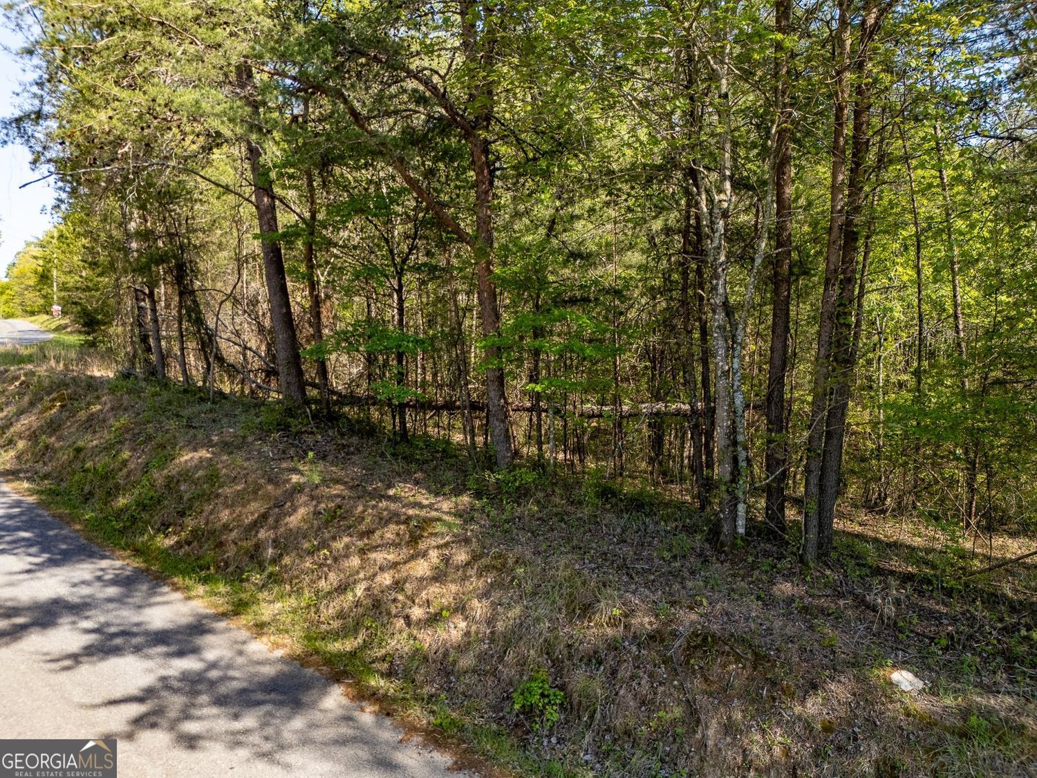 0 Talc Mine Road Property Photo 7