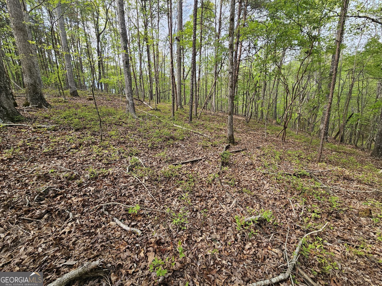 0 Talc Mine Road Property Photo 29