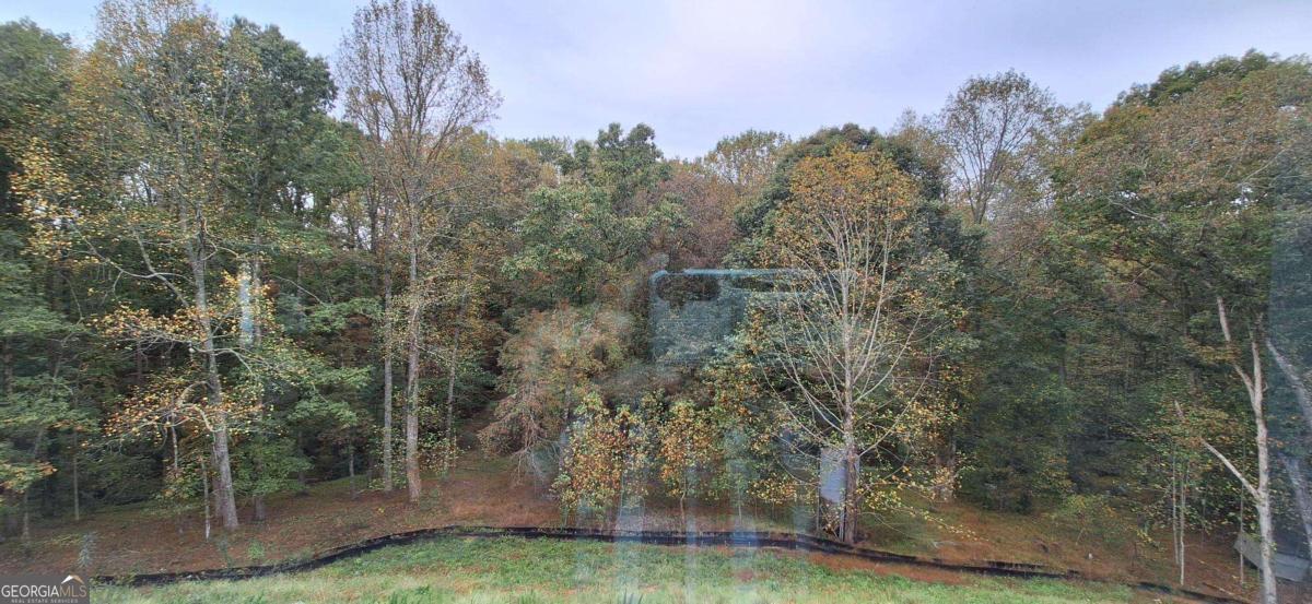 3 Trace Bluff Property Photo 48
