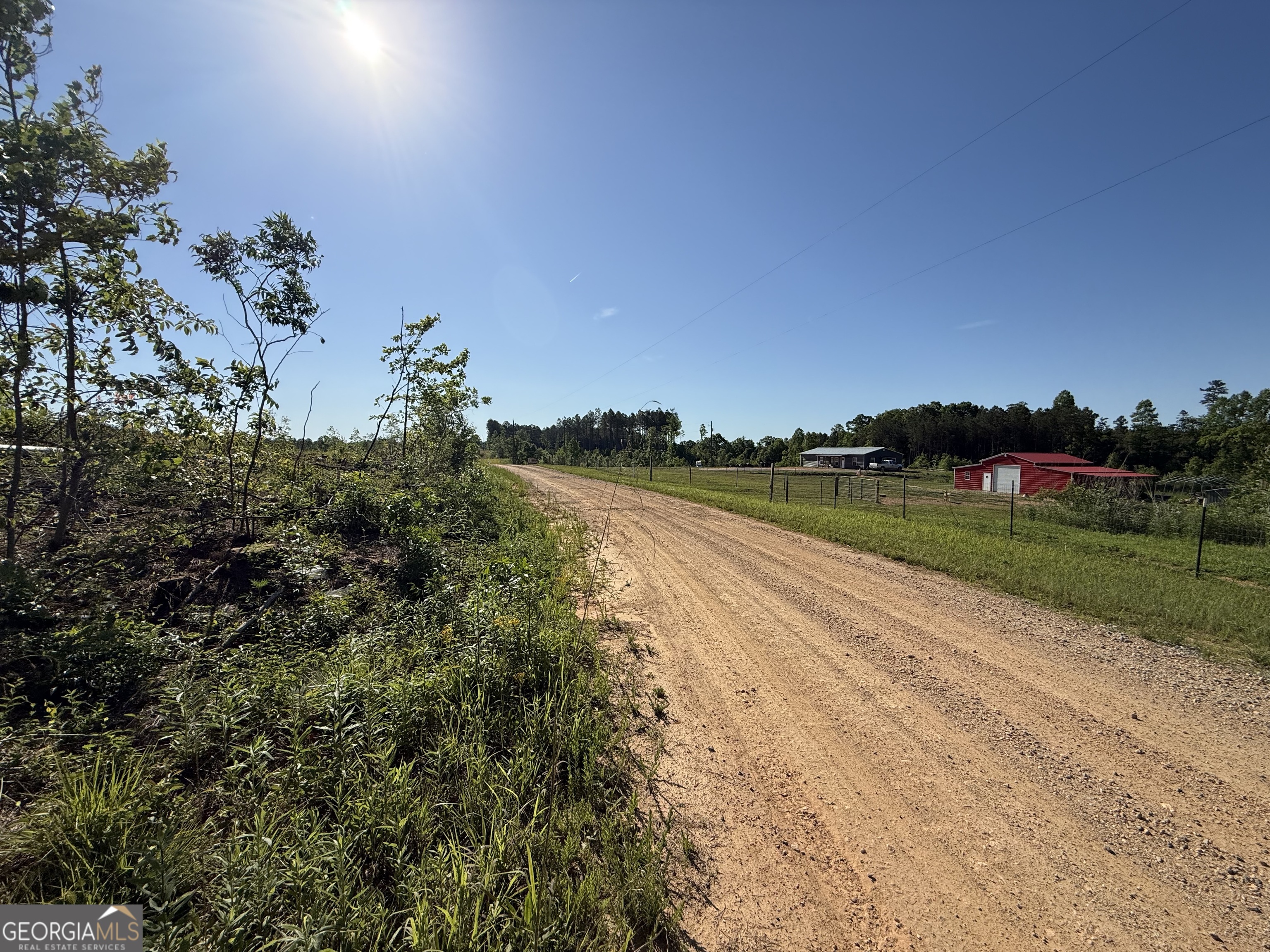 1185 County Road 402 Property Photo 10