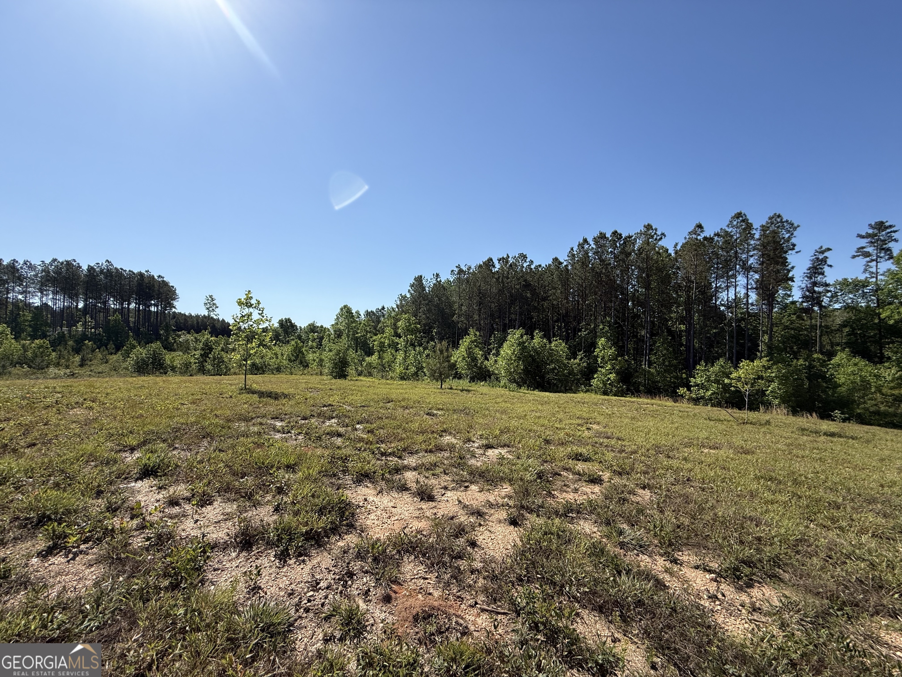 1185 County Road 402 Property Photo 40