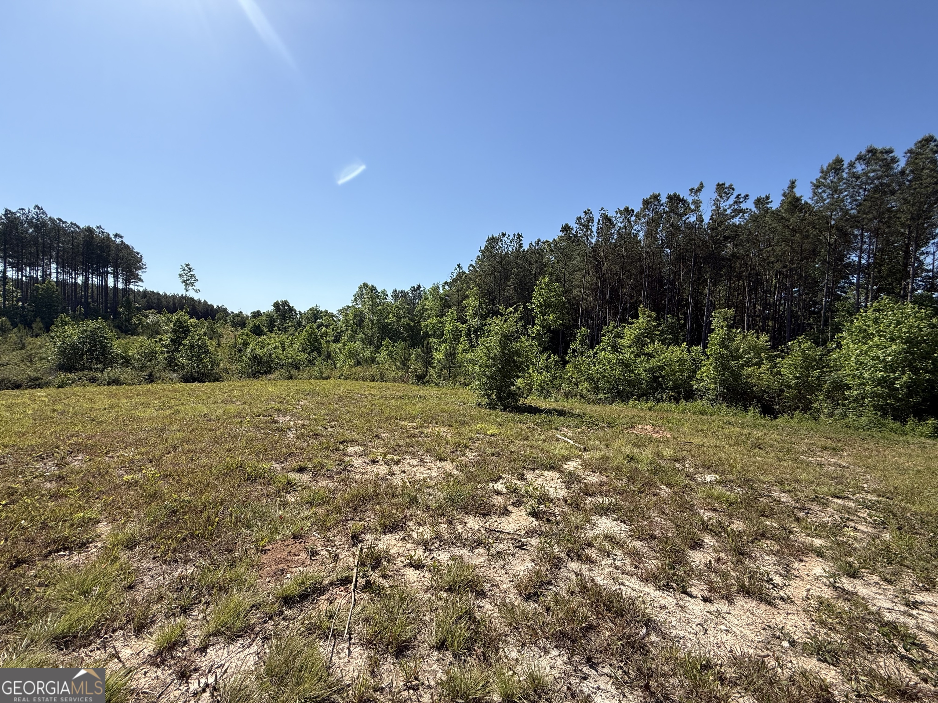 1185 County Road 402 Property Photo 41