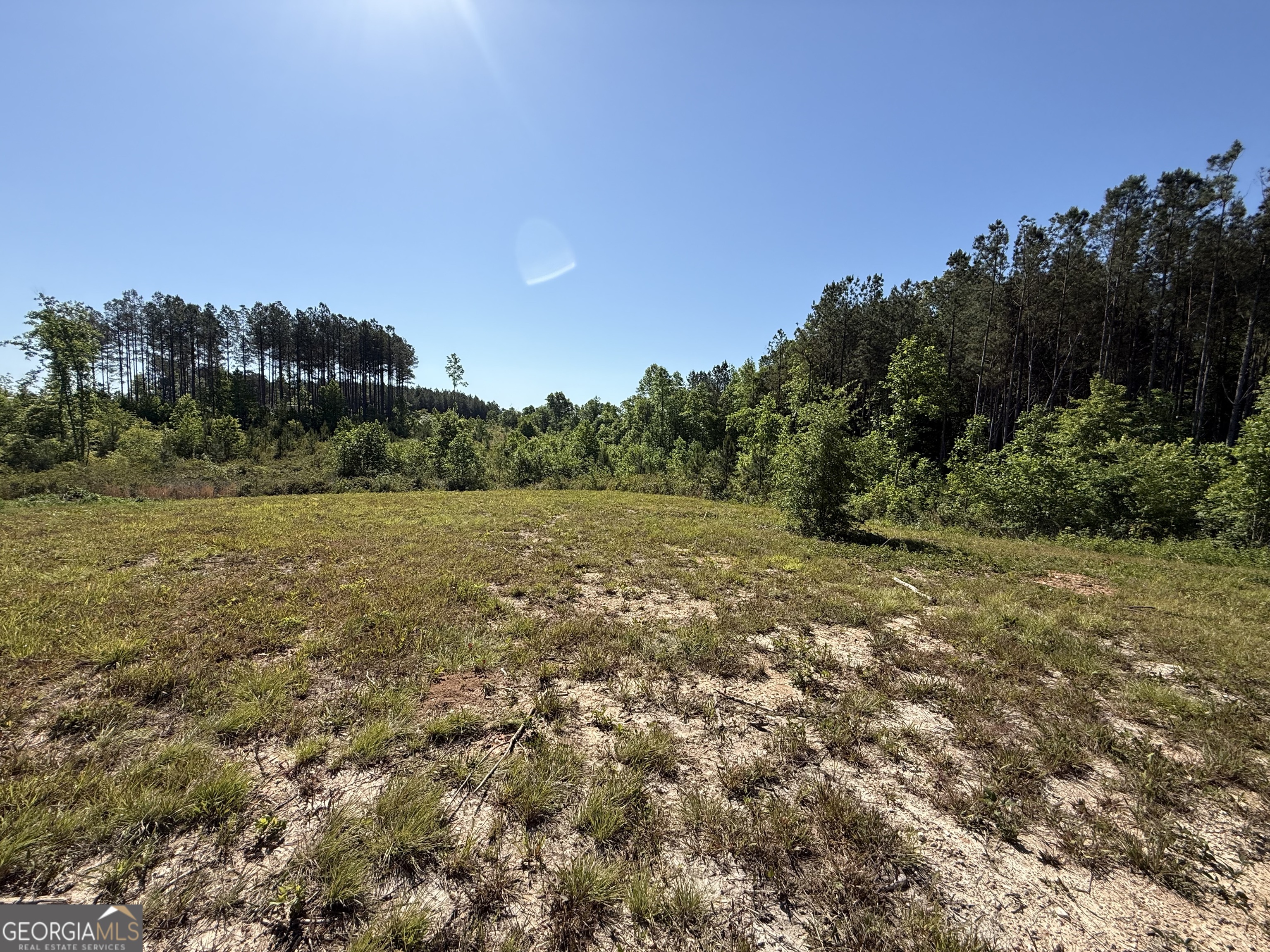 1185 County Road 402 Property Photo 42