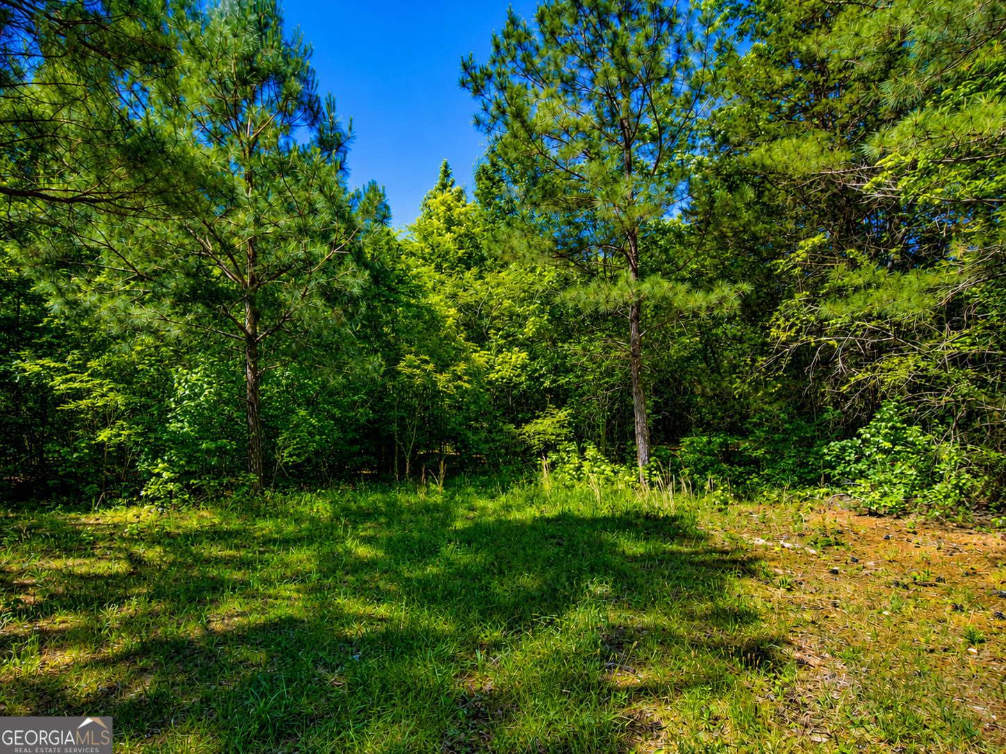 5.5 Acres Bronco Road Property Photo 4