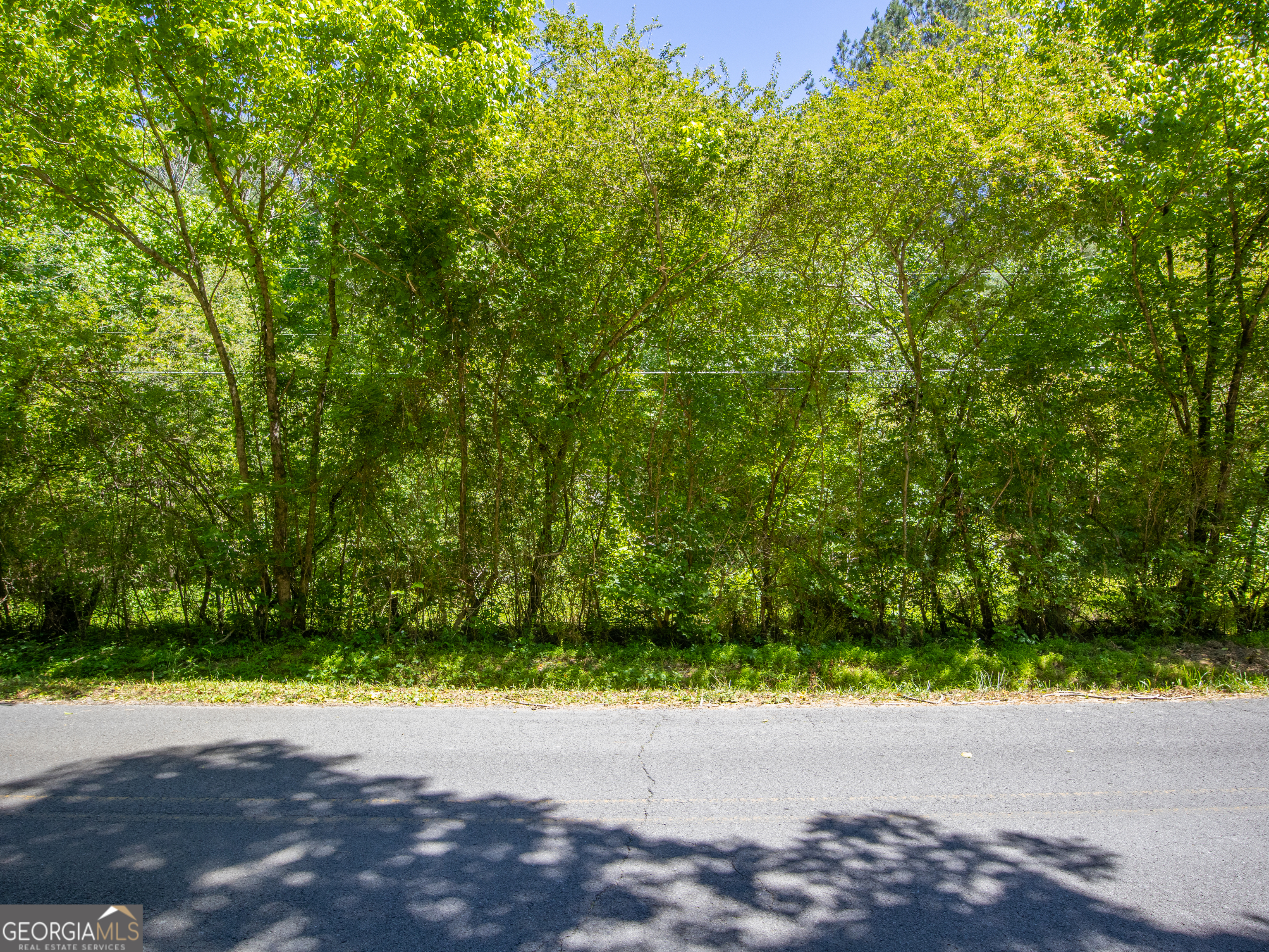 5.5 Acres Bronco Road Property Photo 11