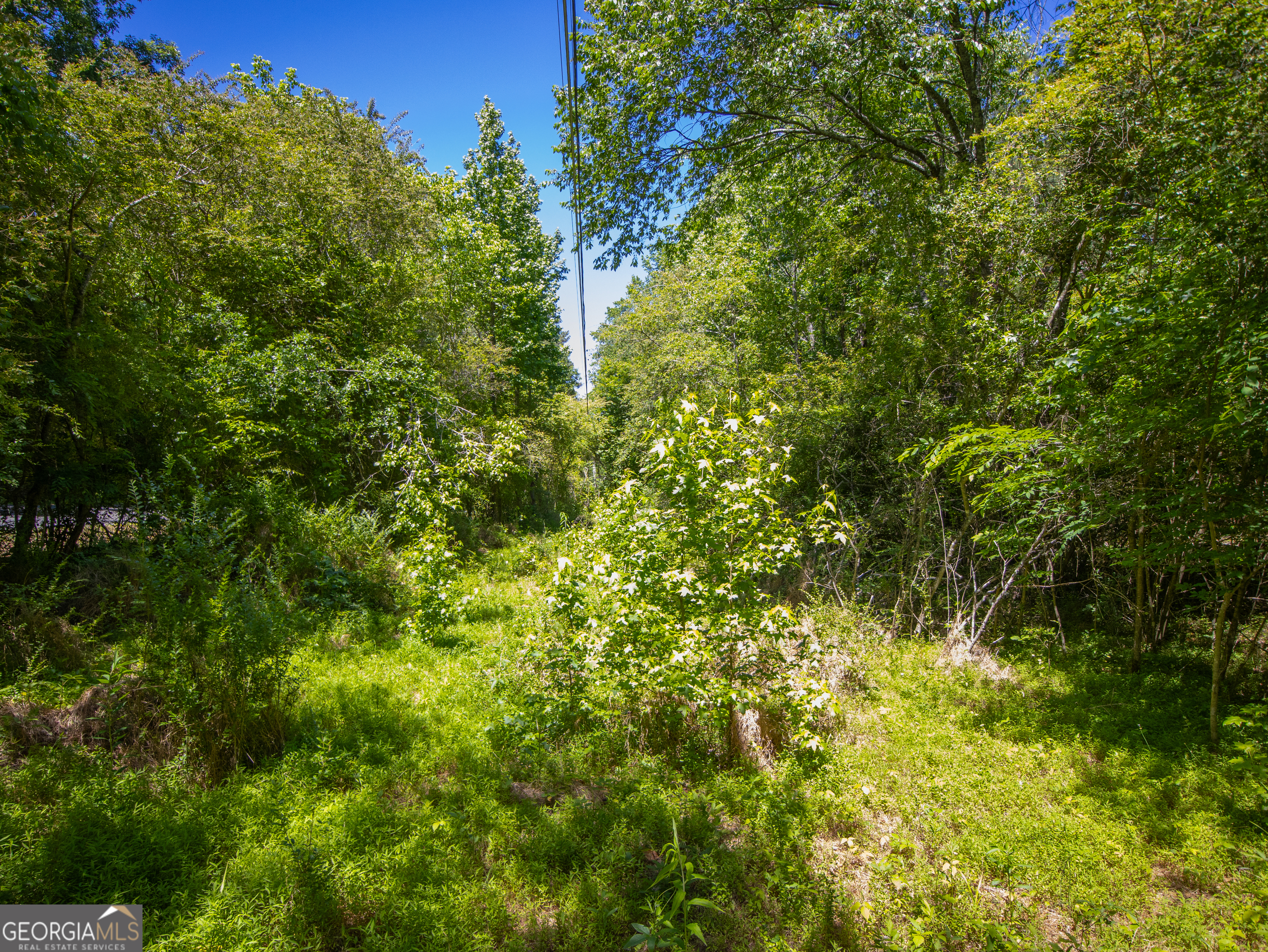 5.5 Acres Bronco Road Property Photo 13