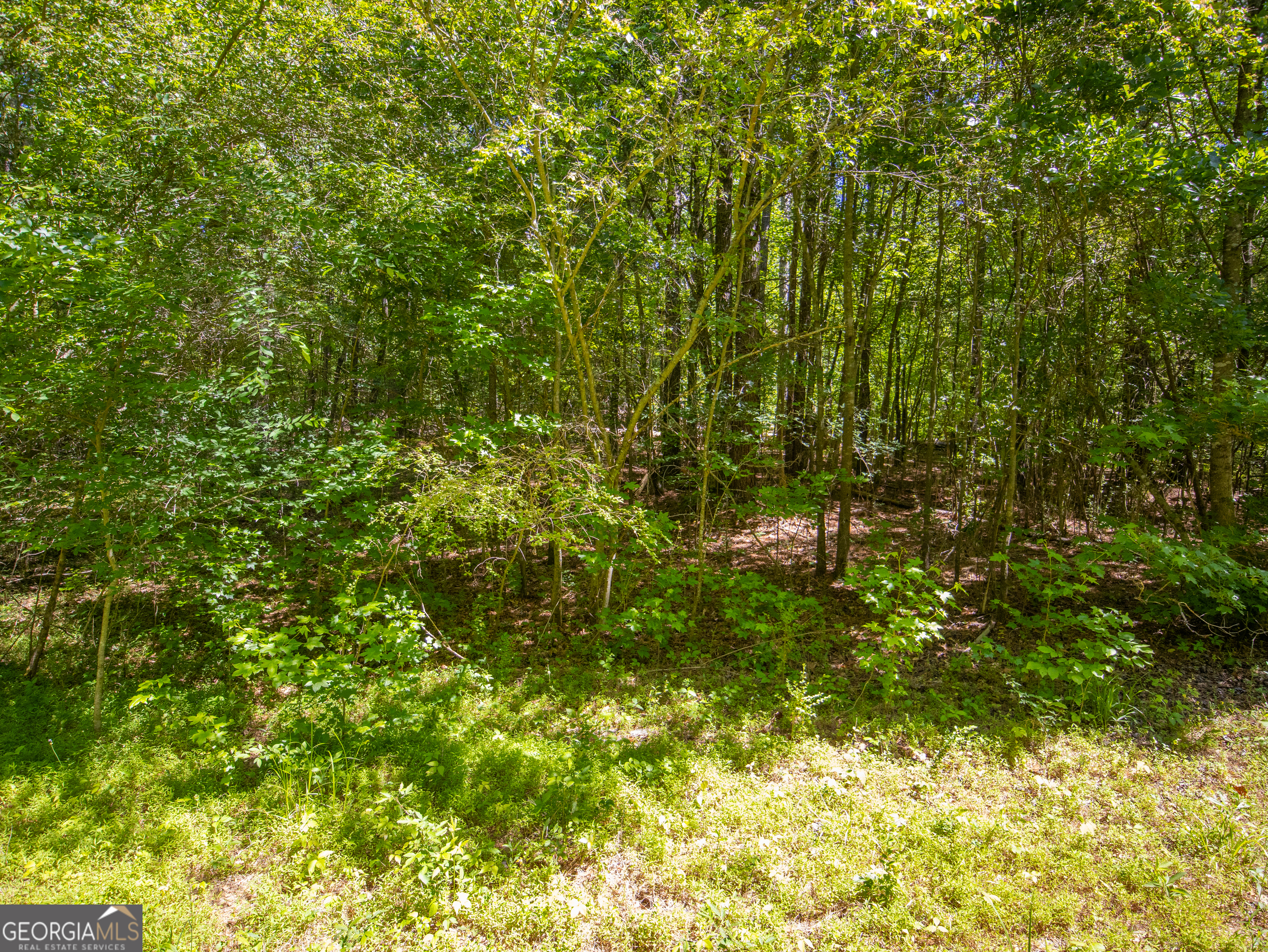5.5 Acres Bronco Road Property Photo 15