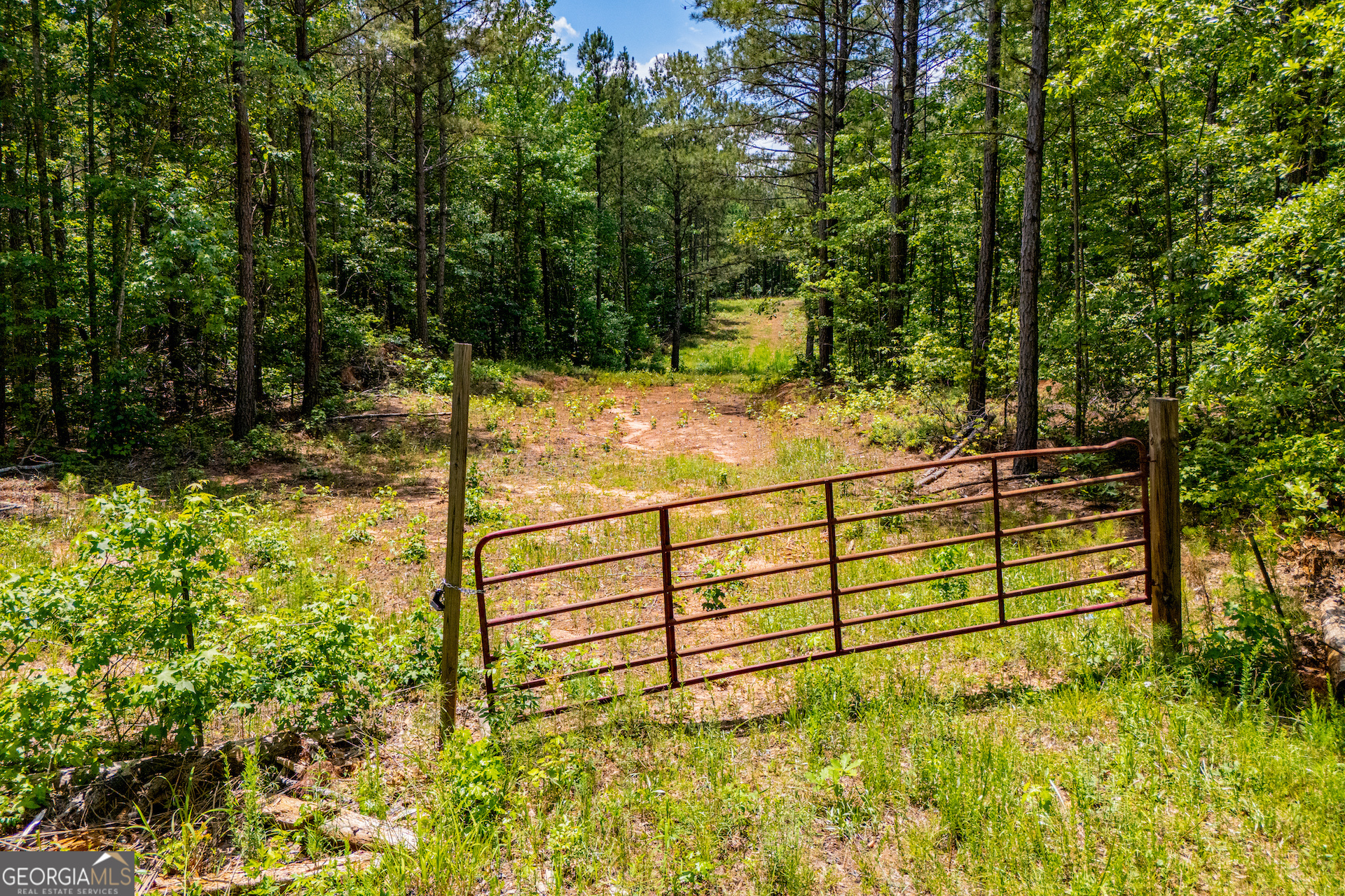 Us Highway 78 Property Photo 3