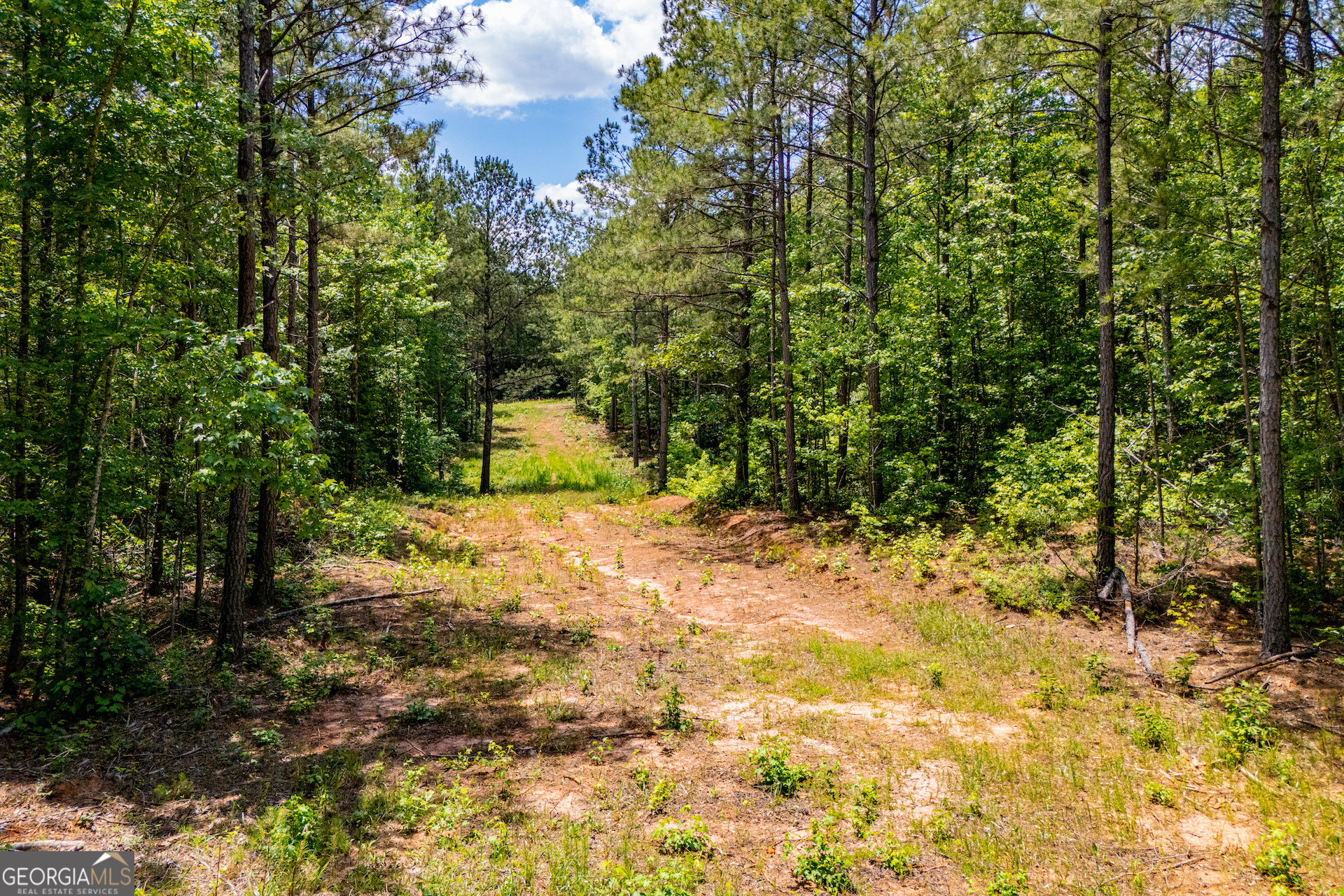 Us Highway 78 Property Photo 4