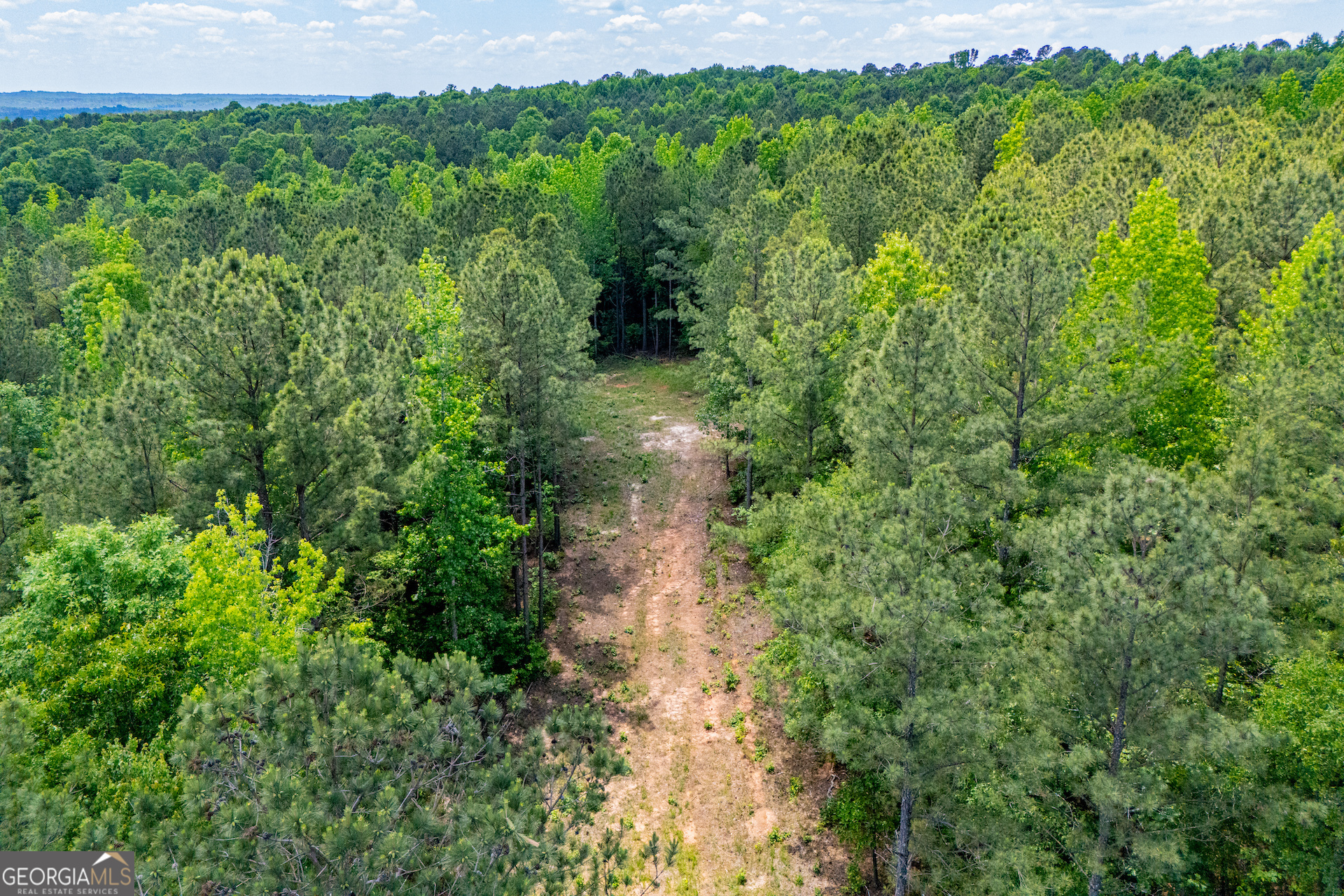 Us Highway 78 Property Photo 5