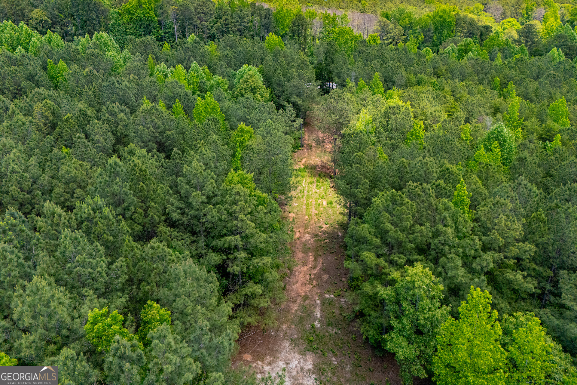 Us Highway 78 Property Photo 6