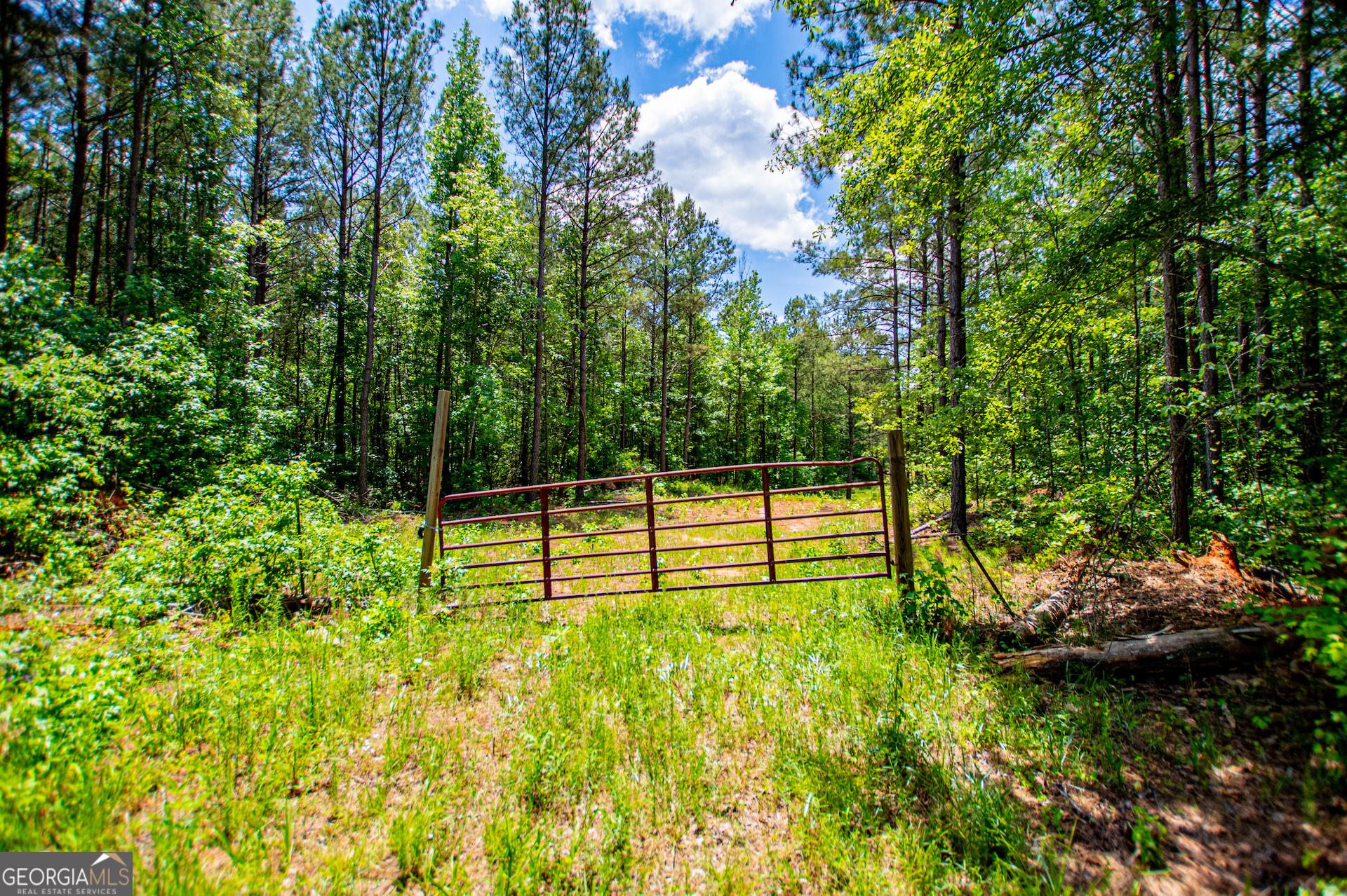Us Highway 78 Property Photo 7