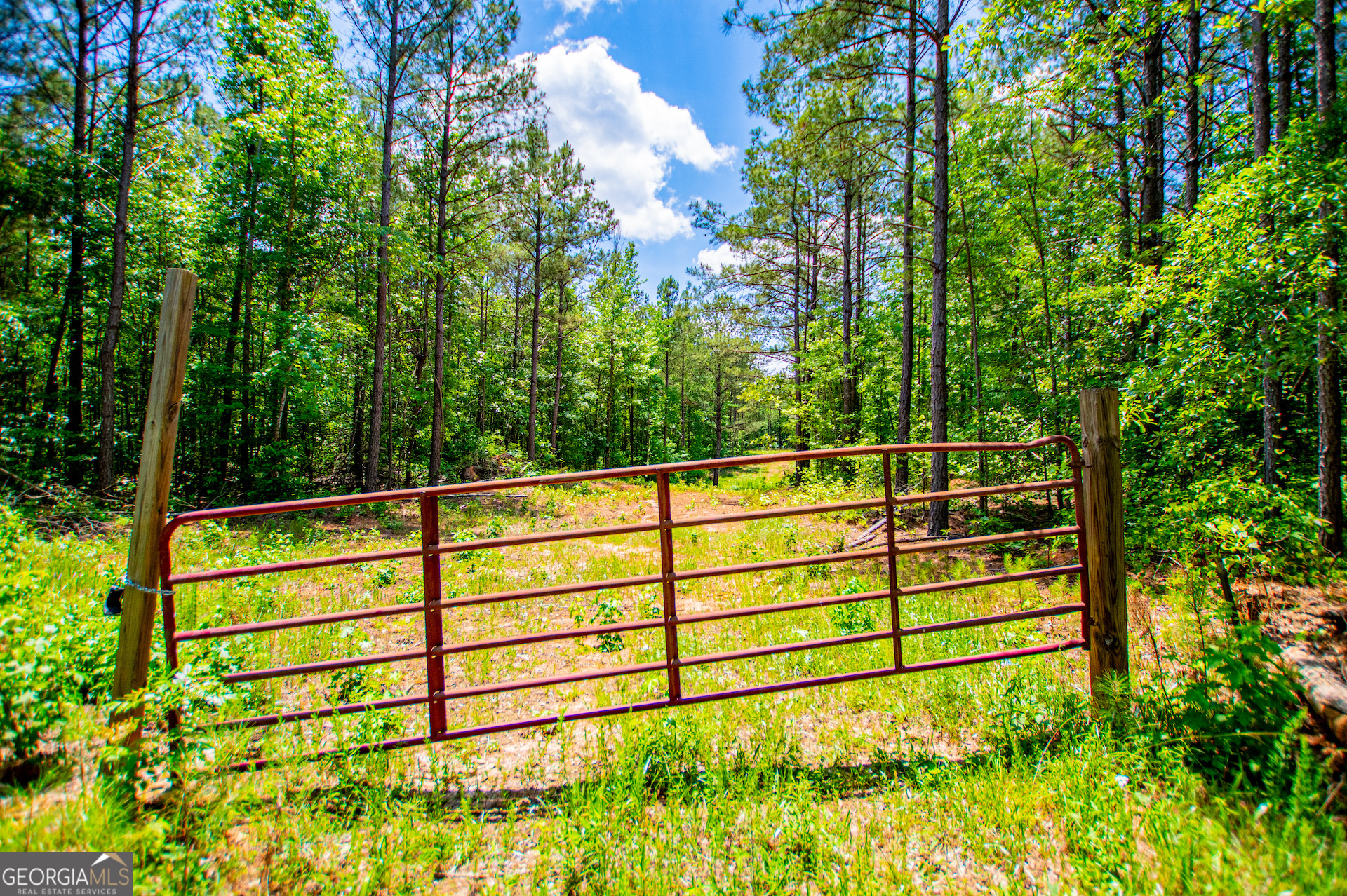 Us Highway 78 Property Photo 19