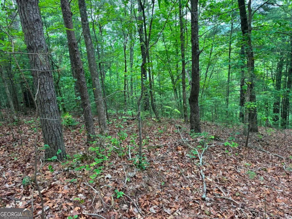 1674A Hunter Drive Property Photo 1