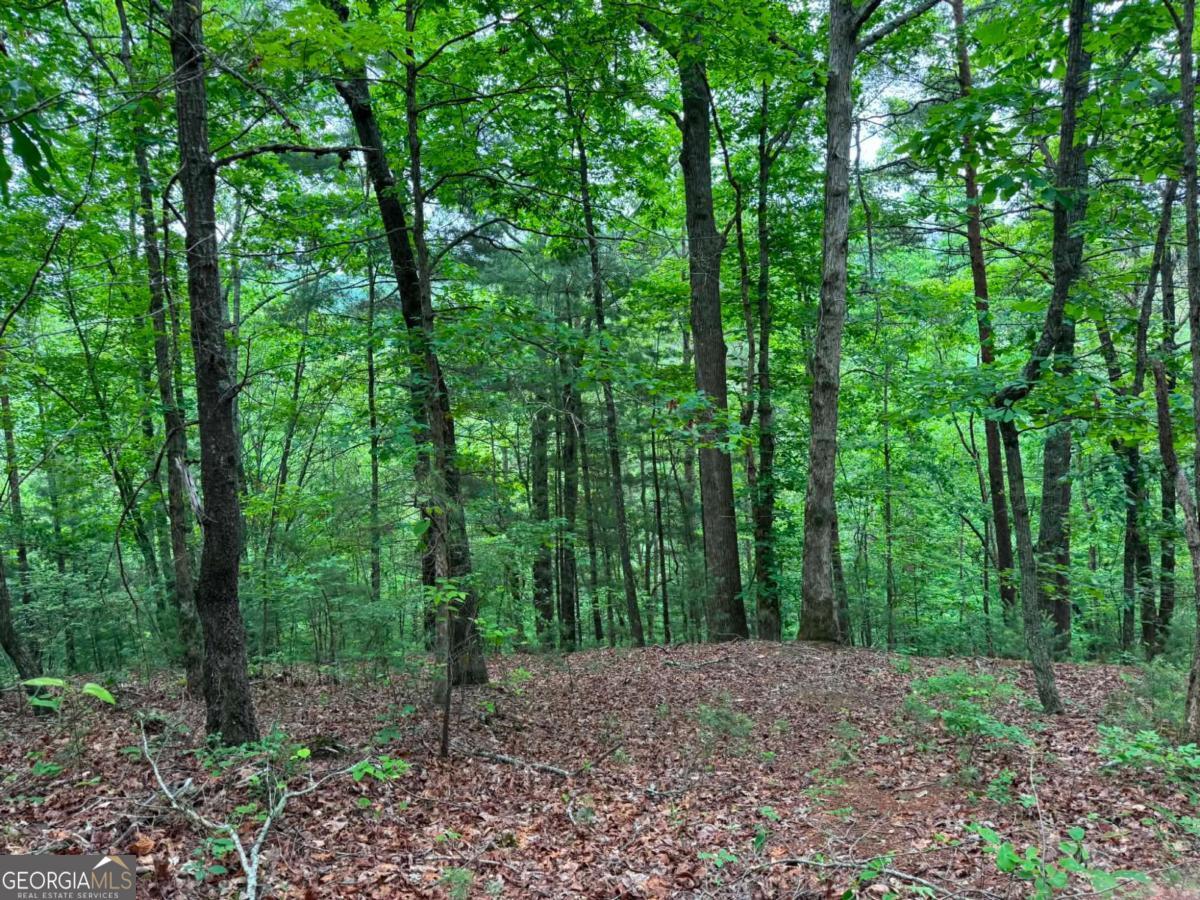 1674a Hunter Drive Property Photo 2