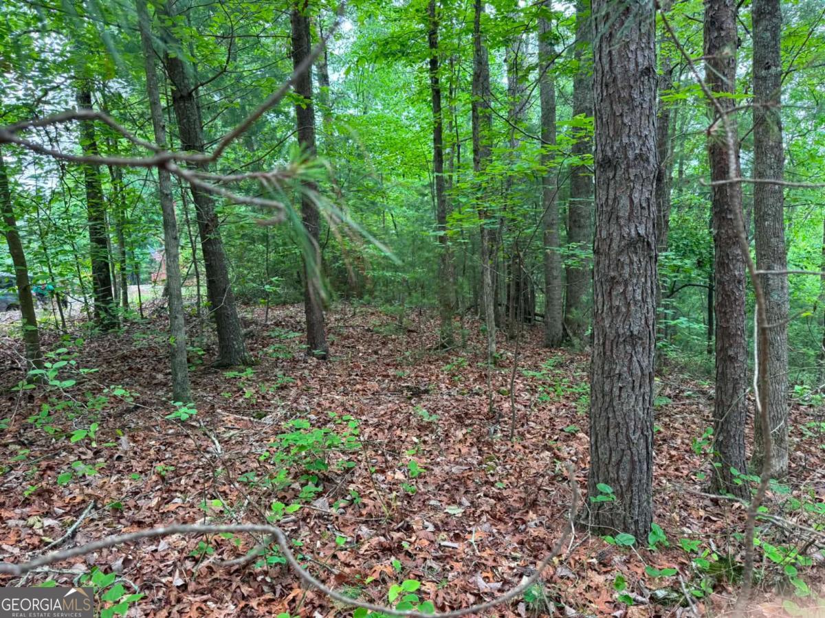 1674a Hunter Drive Property Photo 3