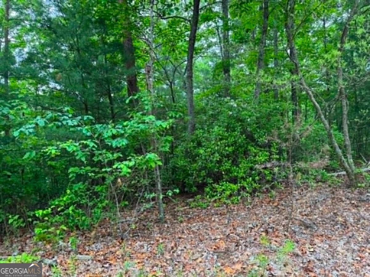 1674a Hunter Drive Property Photo 6