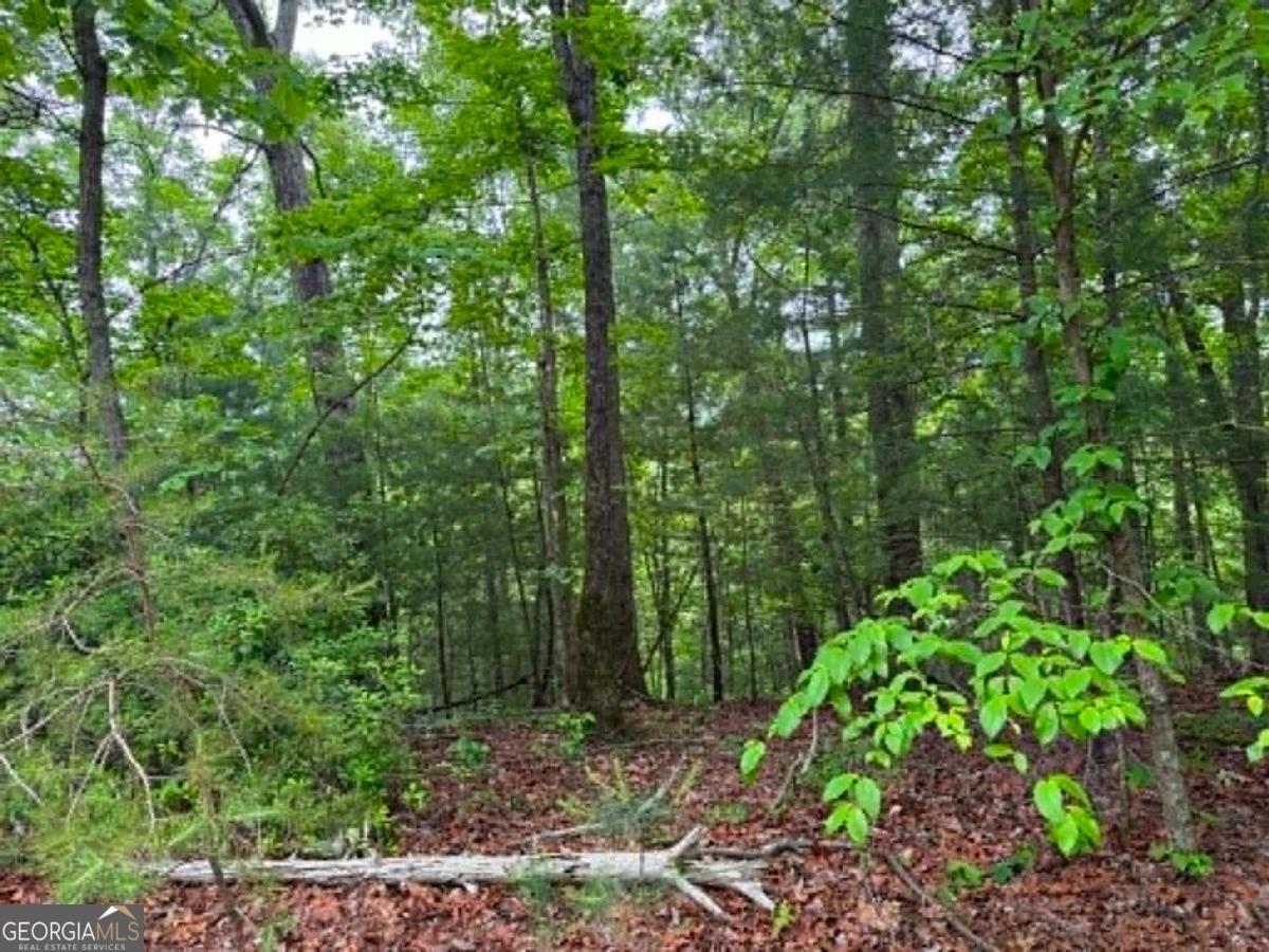 1674a Hunter Drive Property Photo 7