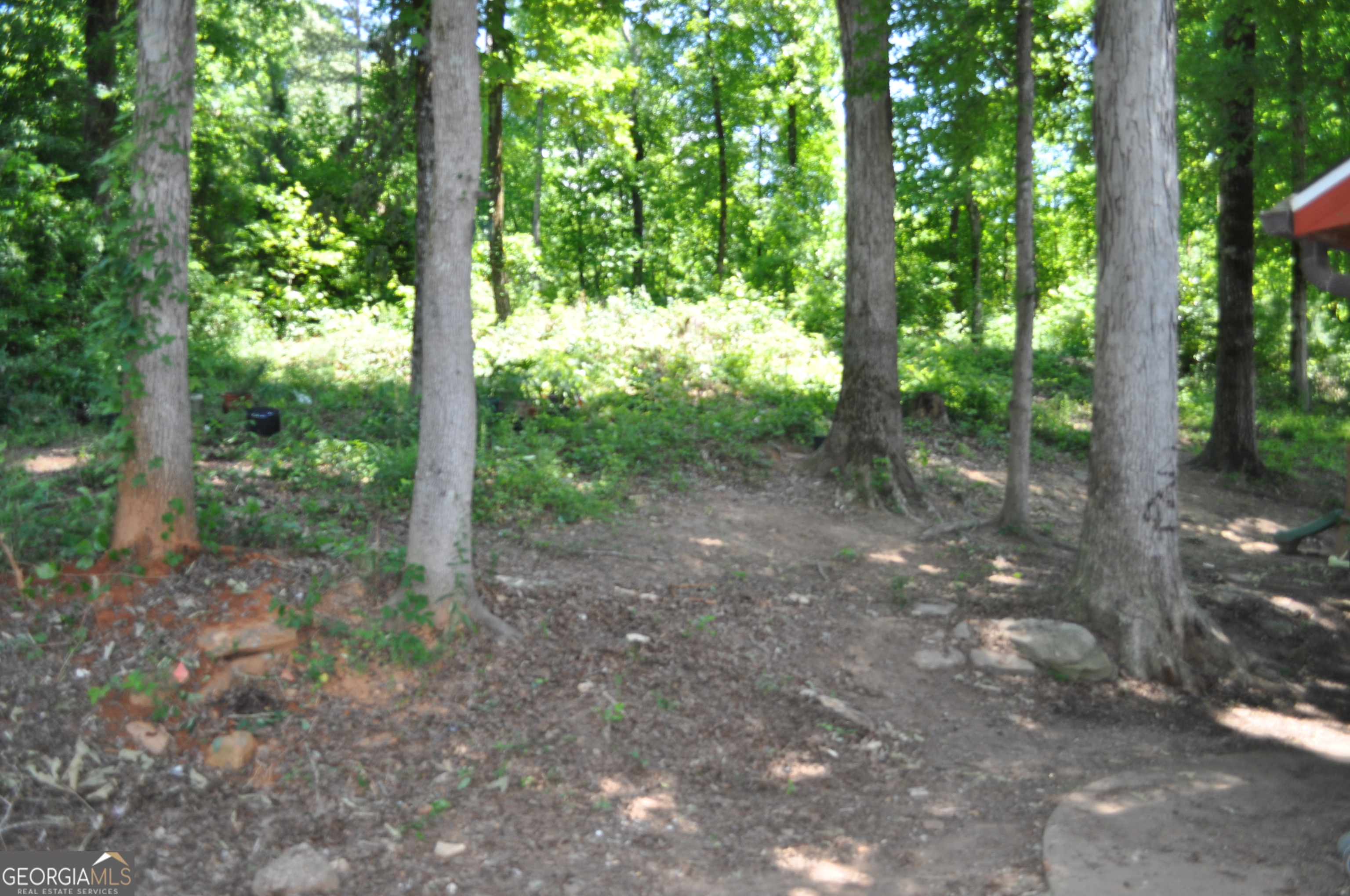 685 Rock Mills Road Property Photo 18