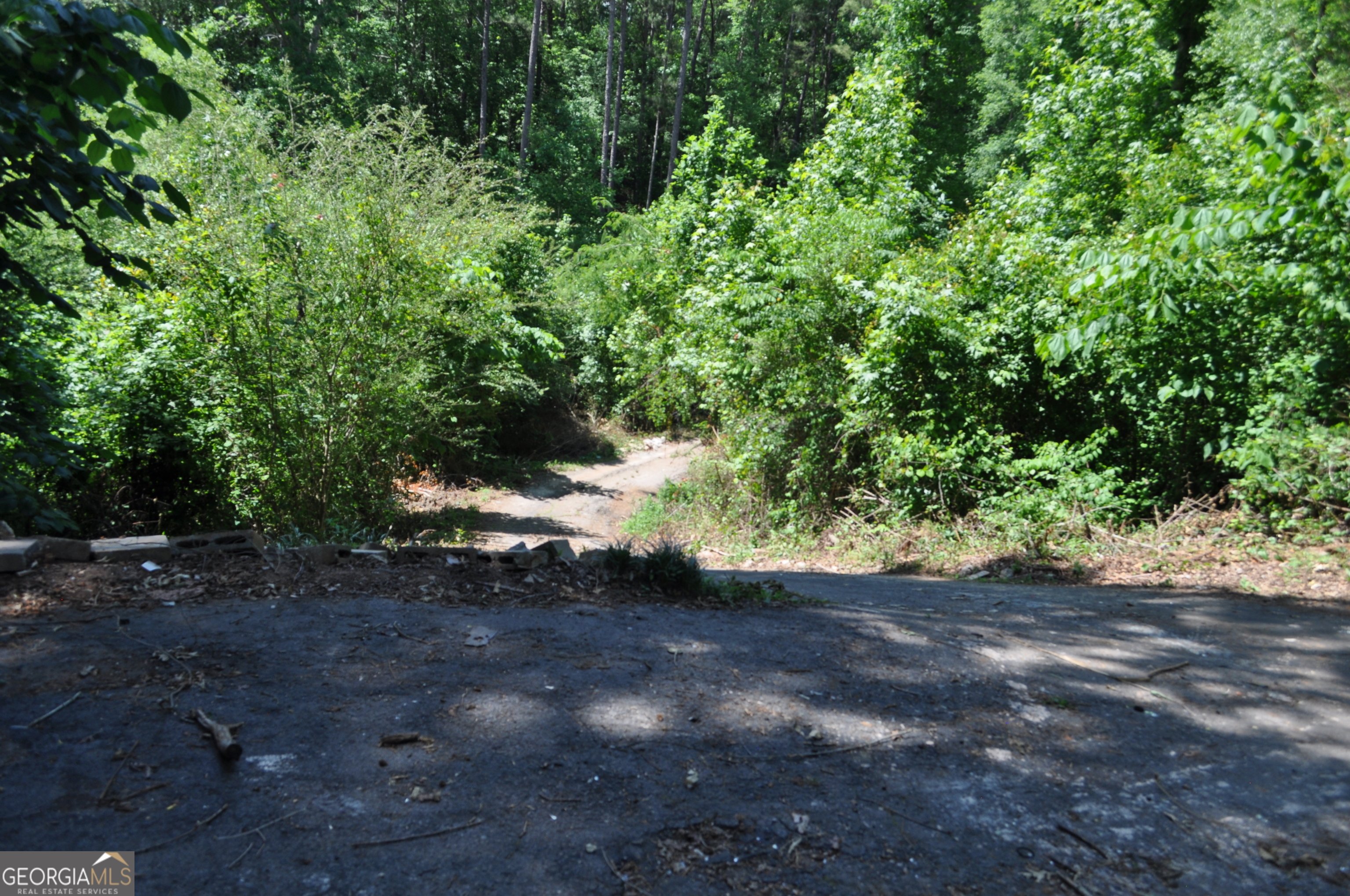 685 Rock Mills Road Property Photo 19