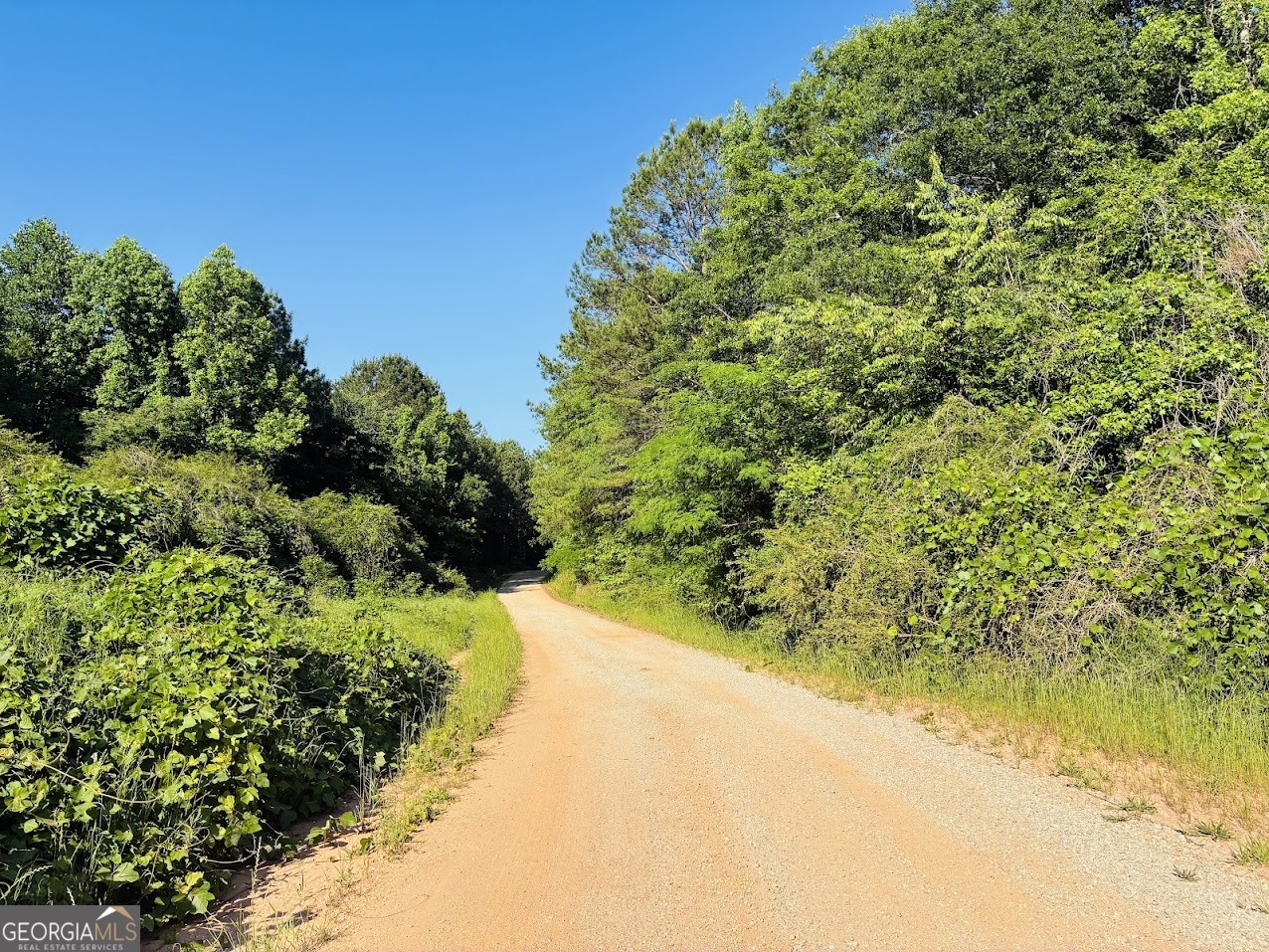 0 Creek Road Lot 3 Property Photo 3
