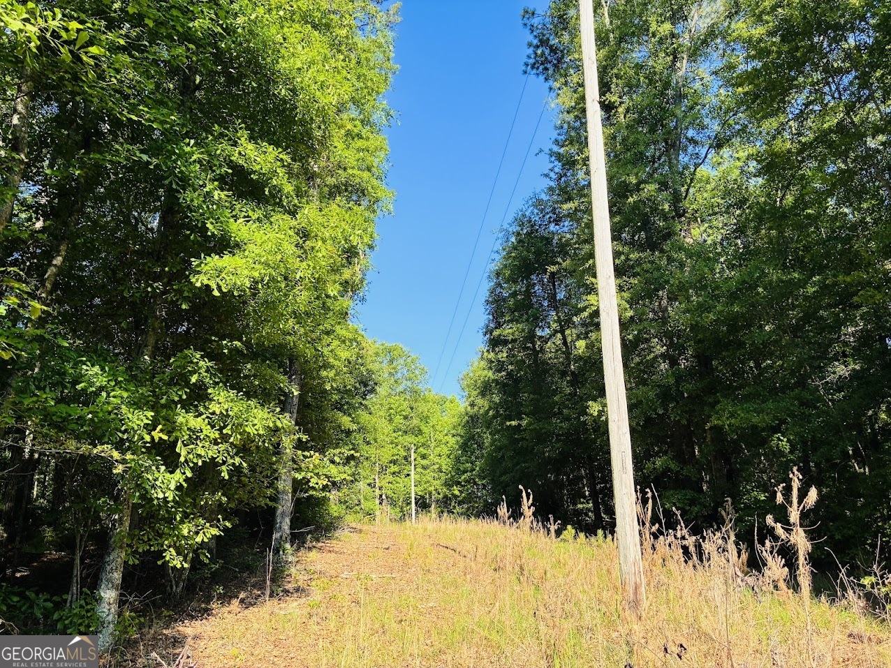 0 Creek Road Lot 3 Property Photo 4