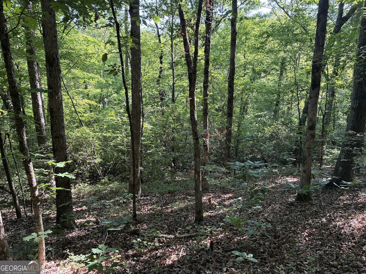 0 Creek Road Lot 4 Property Photo 6
