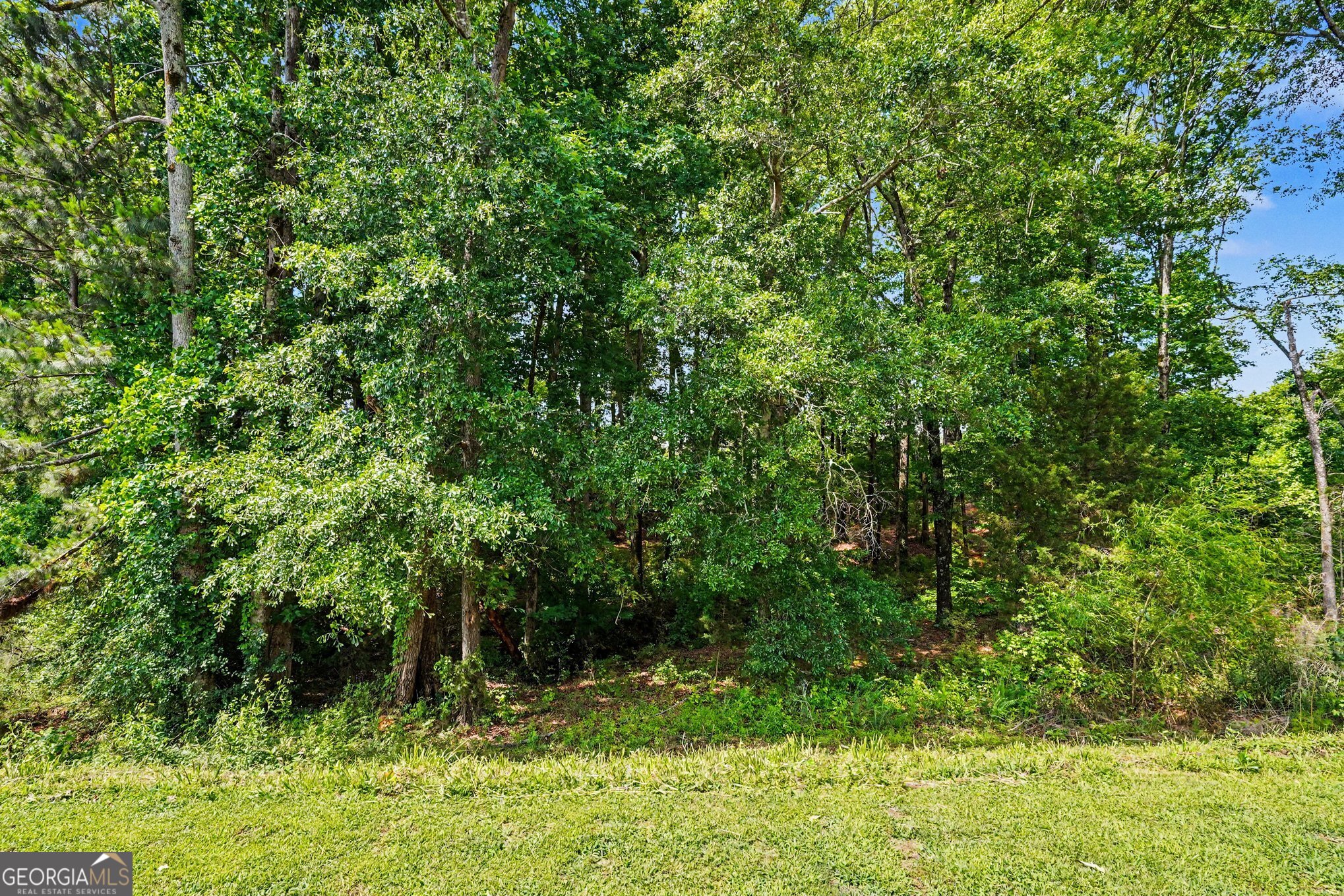 544 Moline Way Property Photo 7