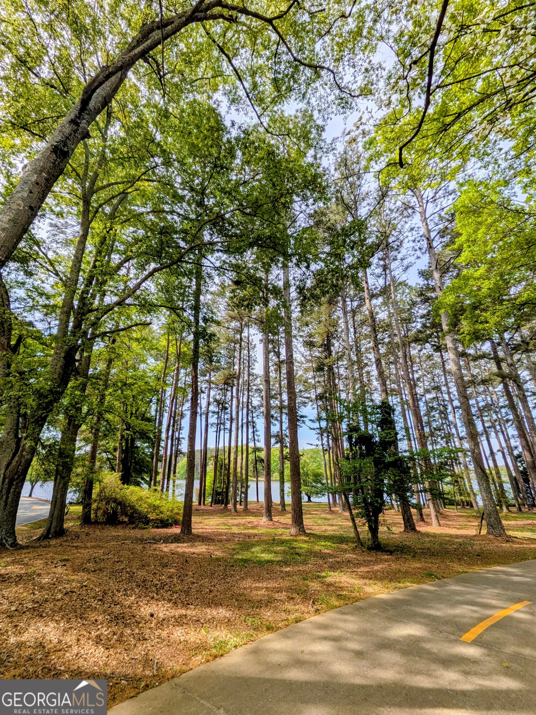 202 Chaucer Lane Lot 71 Property Photo 43