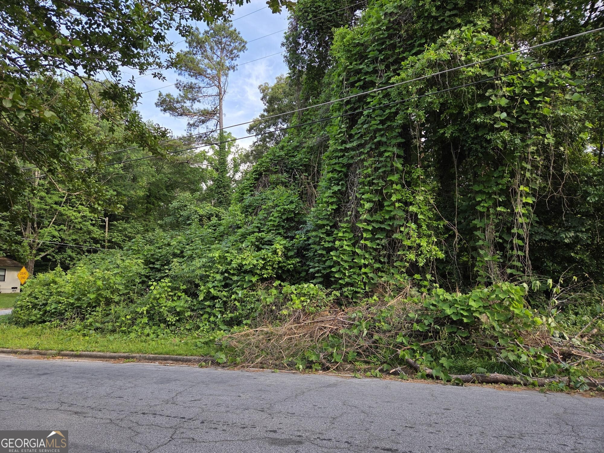 93 Finch Drive Se Property Photo 3