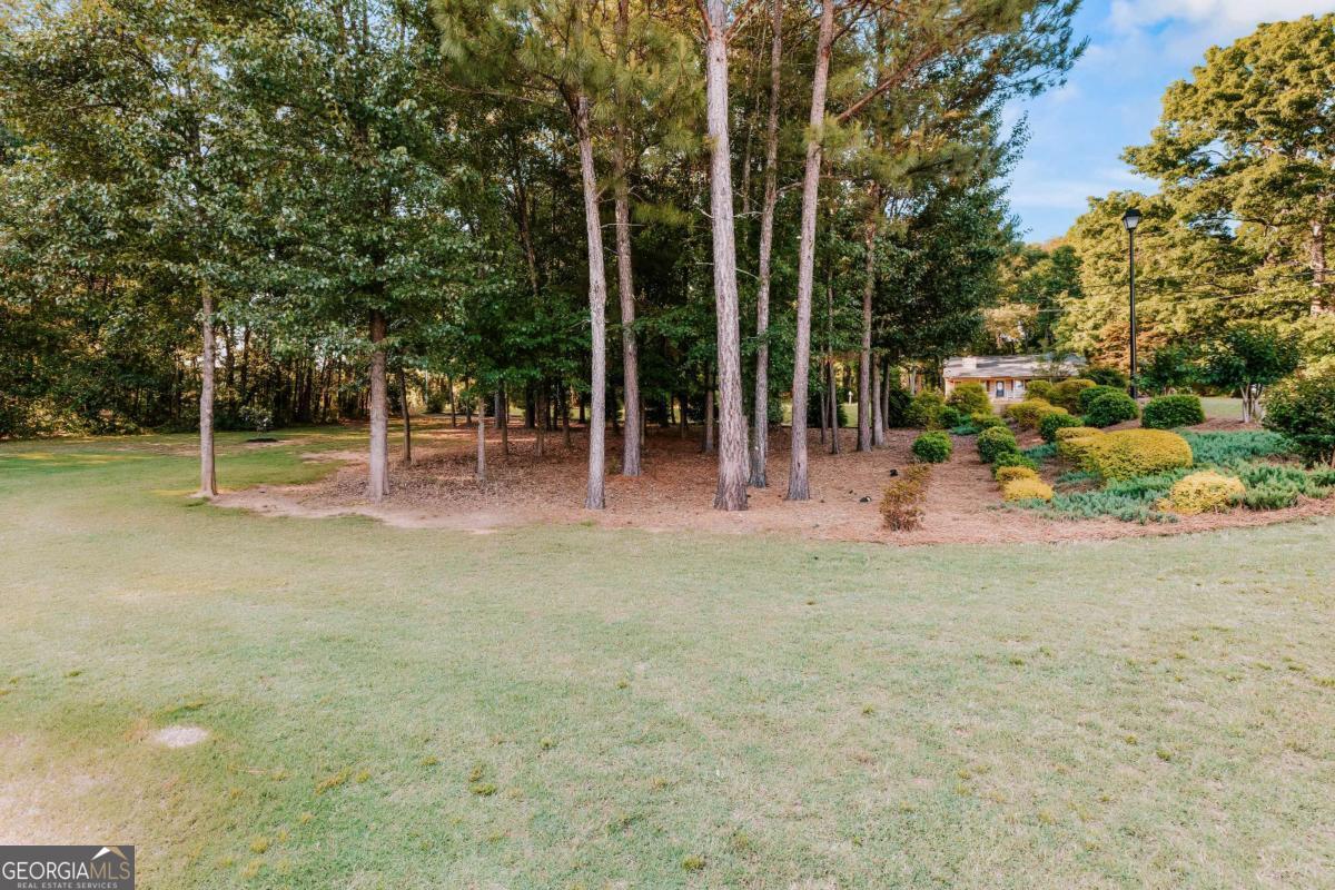 20 Woodbury Lane Property Photo 46