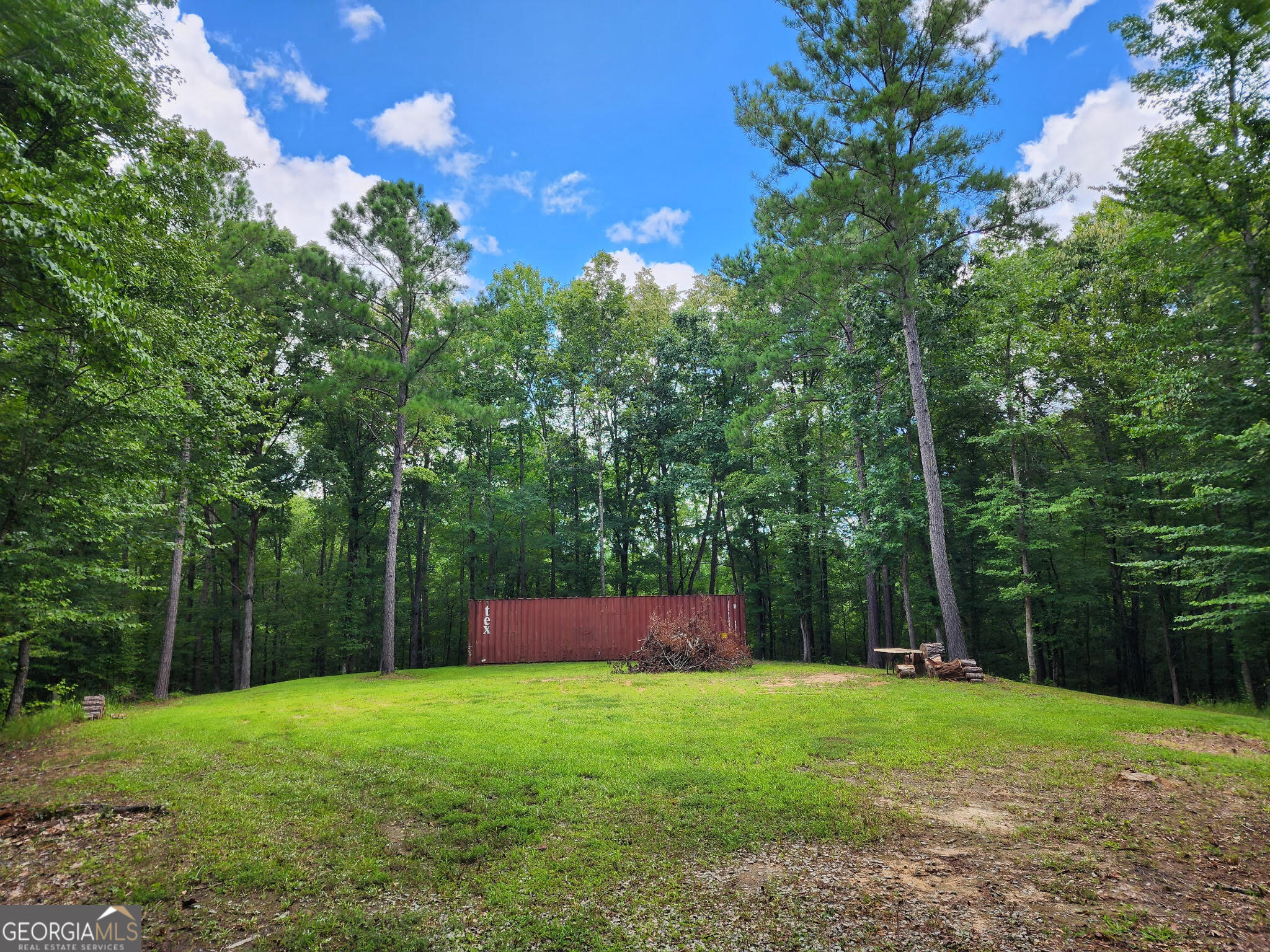 0 Ga 85 Highway Property Photo 1
