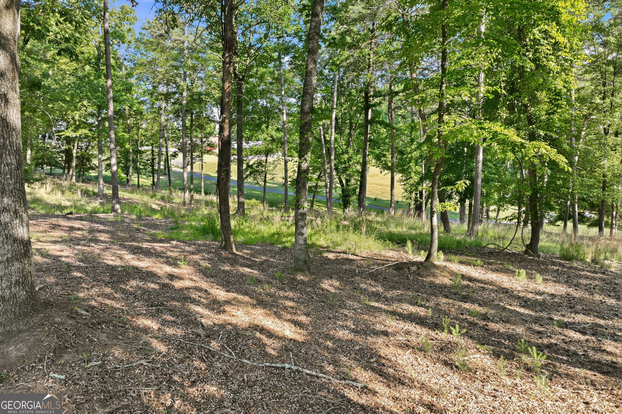 4703 Mount Vernon Road Property Photo 56