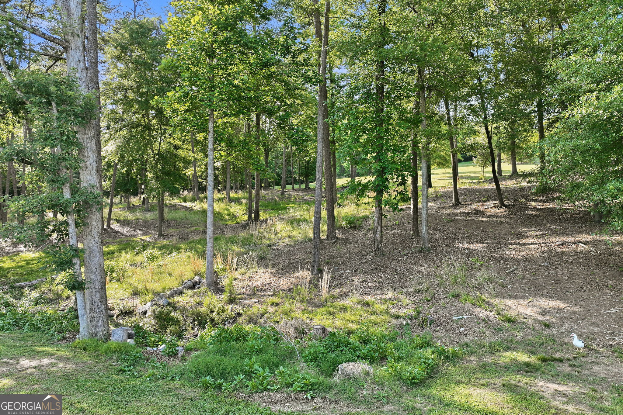 4703 Mount Vernon Road Property Photo 64