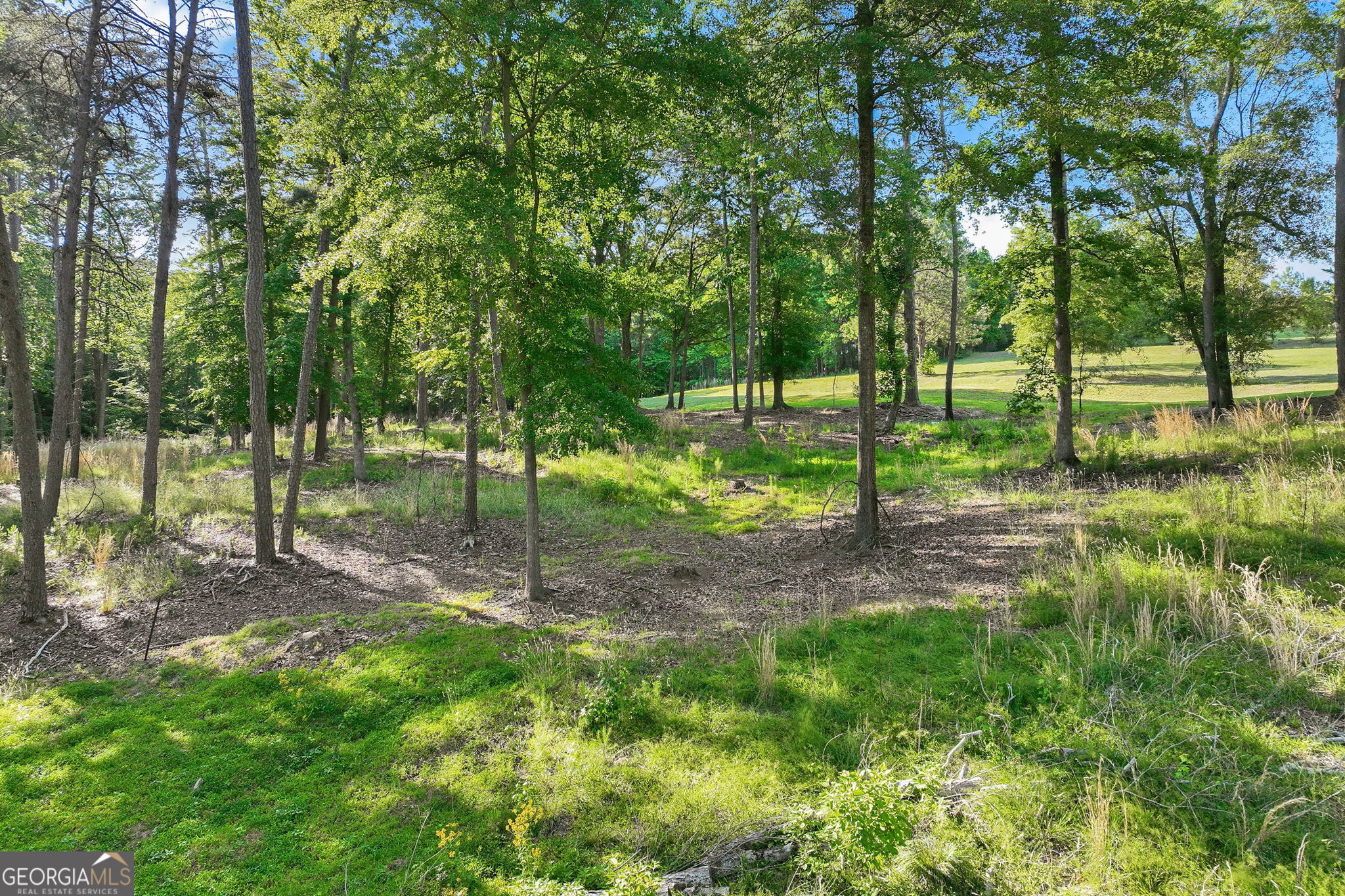4703 Mount Vernon Road Property Photo 65