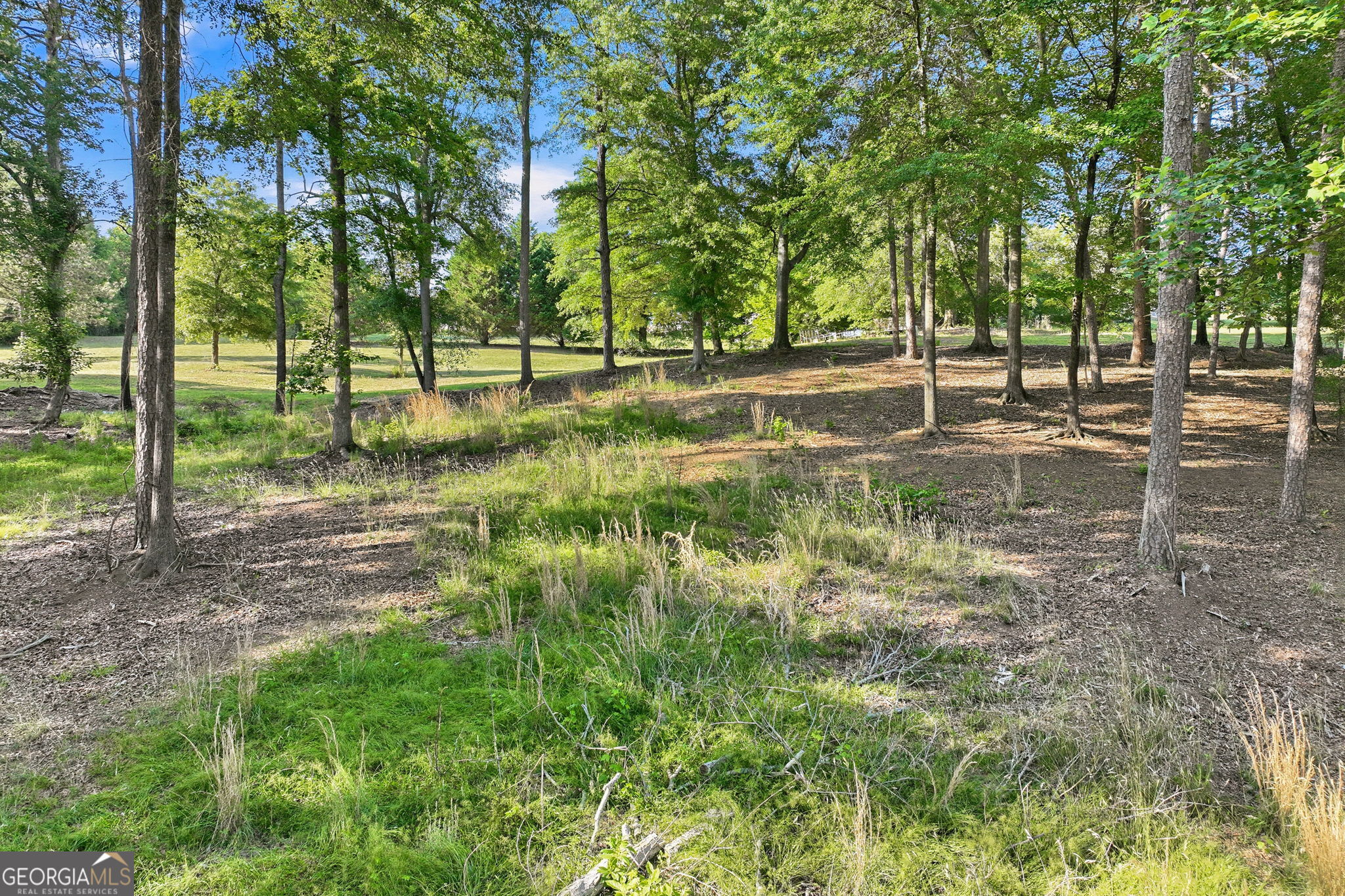4703 Mount Vernon Road Property Photo 66
