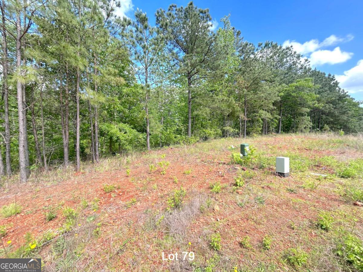 208 Oakdale Way Property Photo 11