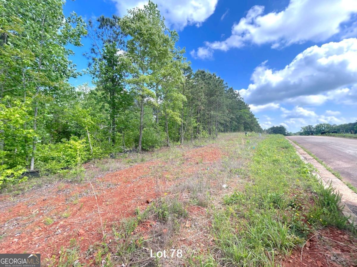 208 Oakdale Way Property Photo 15