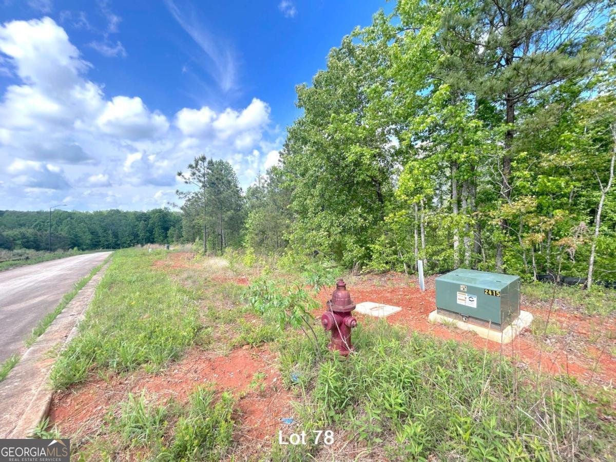208 Oakdale Way Property Photo 16