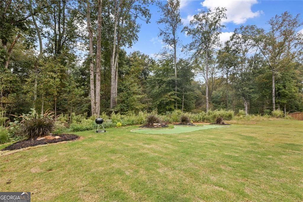 206 Blue Dragon Drive Property Photo 28
