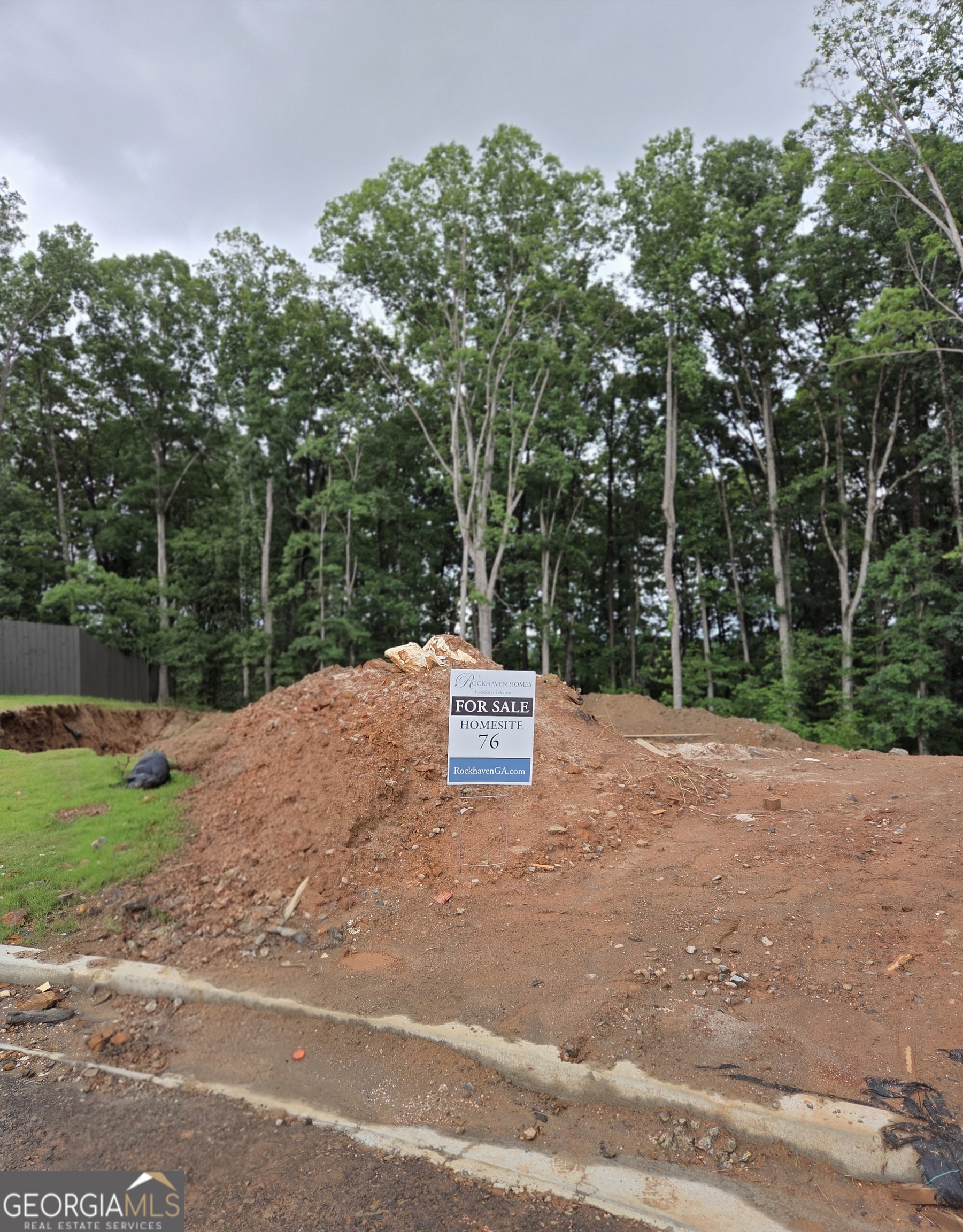 792 Ellis Spring Way Lot 76 Property Photo 2