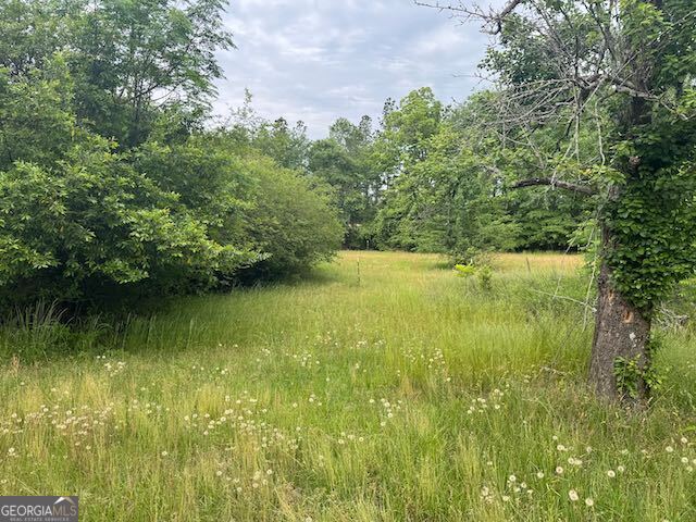 10661 Ga Highway 15 Property Photo 18