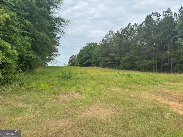 10661 Ga Highway 15 Property Photo 19