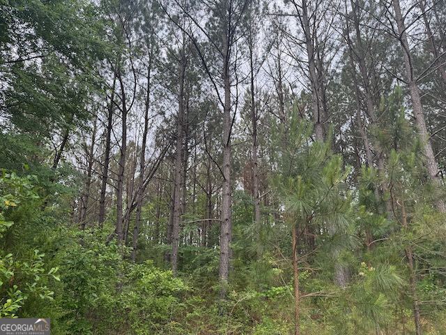 10661 Ga Highway 15 Property Photo 20