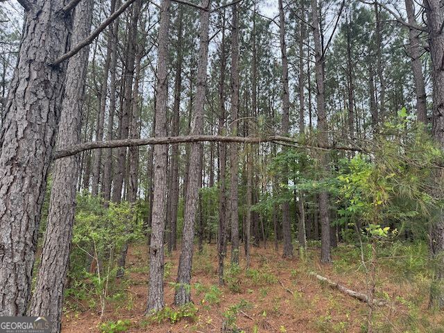 10661 Ga Highway 15 Property Photo 21
