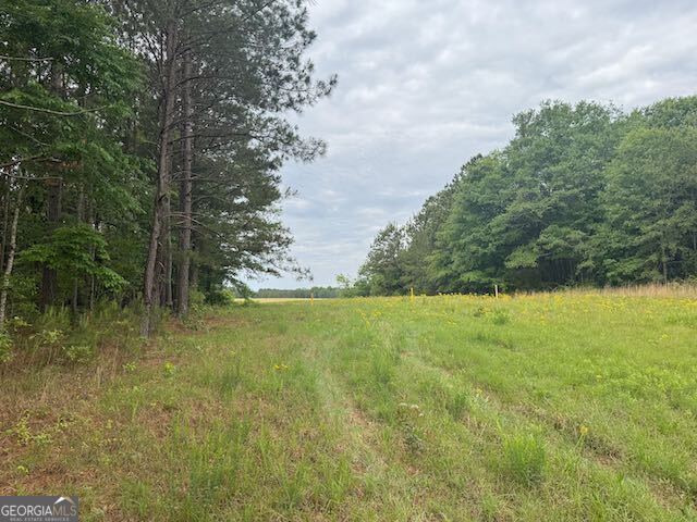 10661 Ga Highway 15 Property Photo 22
