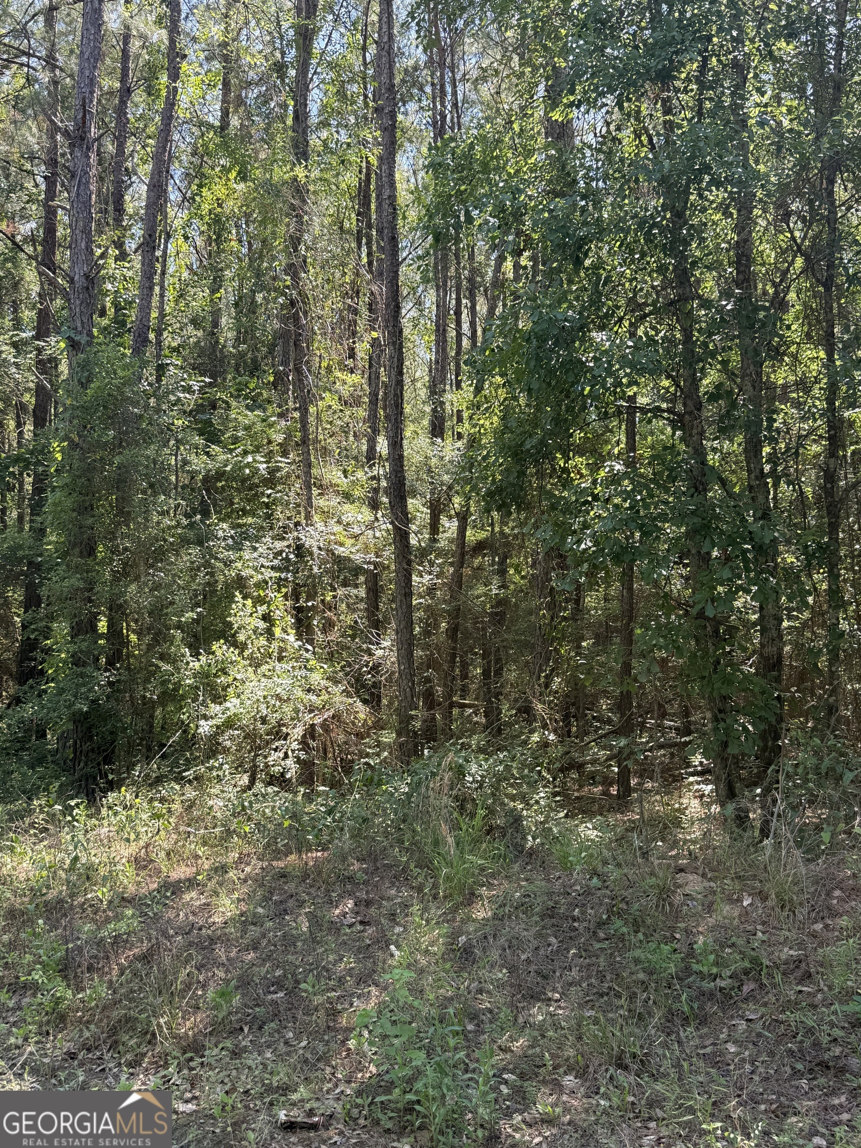 0 Appian Way Property Photo 3