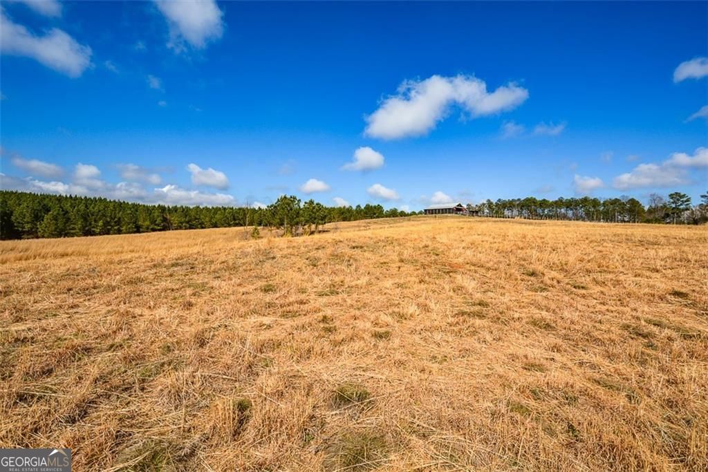 119 Inland Drive 3 Acres Property Photo 1