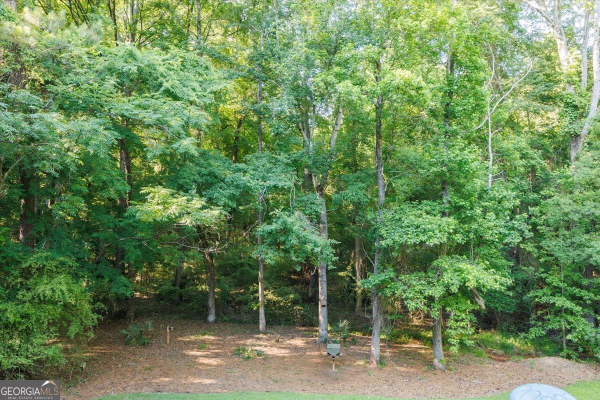 15 Wadley Station Court Property Photo 34
